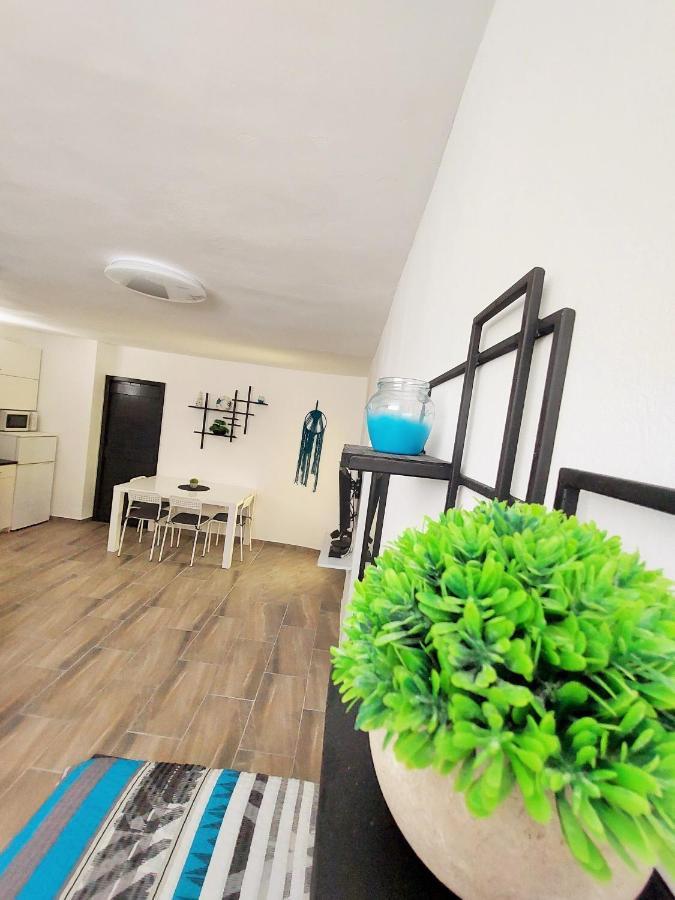 Apartments Maltasic Vir Ngoại thất bức ảnh